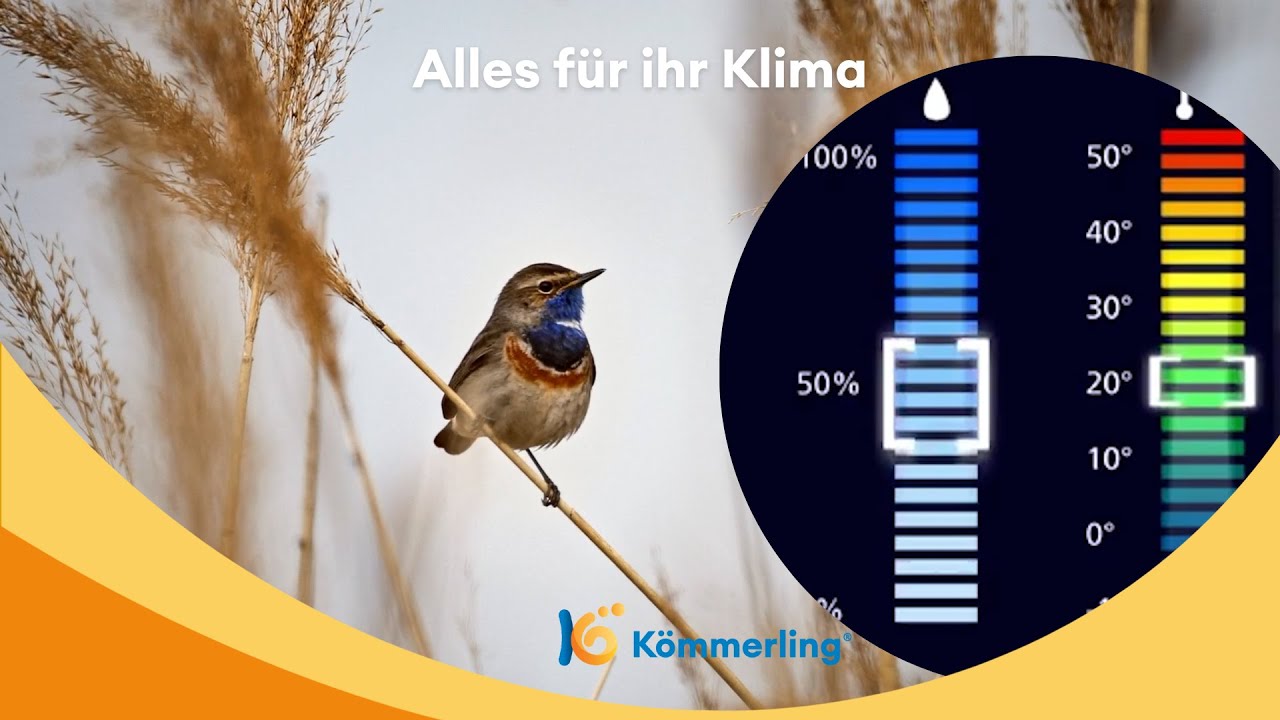 Gesundes Raumklima &ndash; darauf solltest du achten