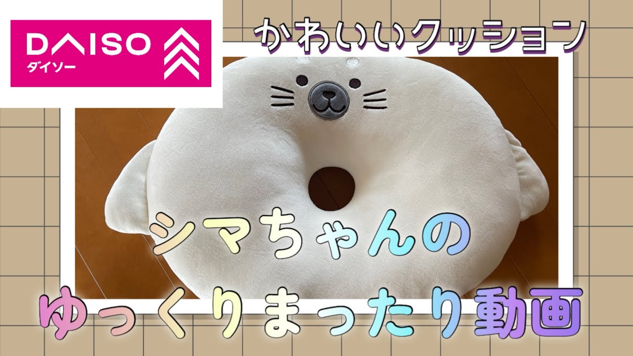 シマちゃんのお気に入りを探す旅 ～ほぼ玉砕～