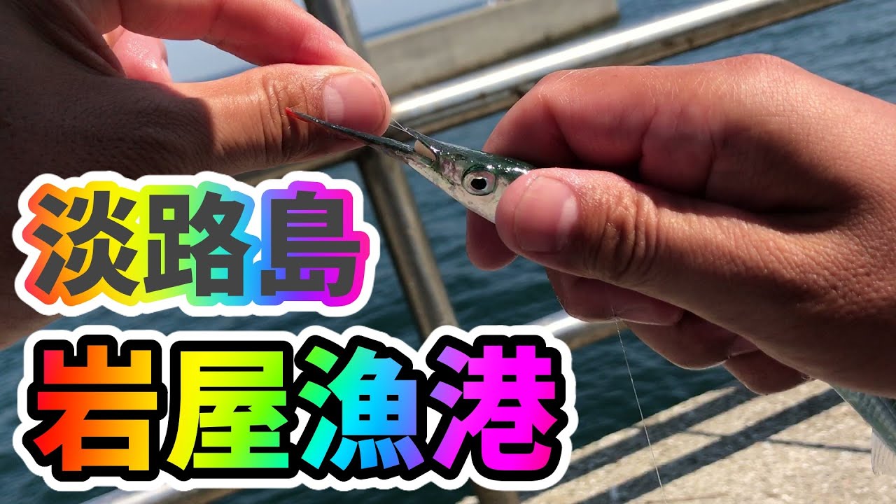 【淡路島 岩屋漁港】イカの大群？サビキでサヨリの釣り方