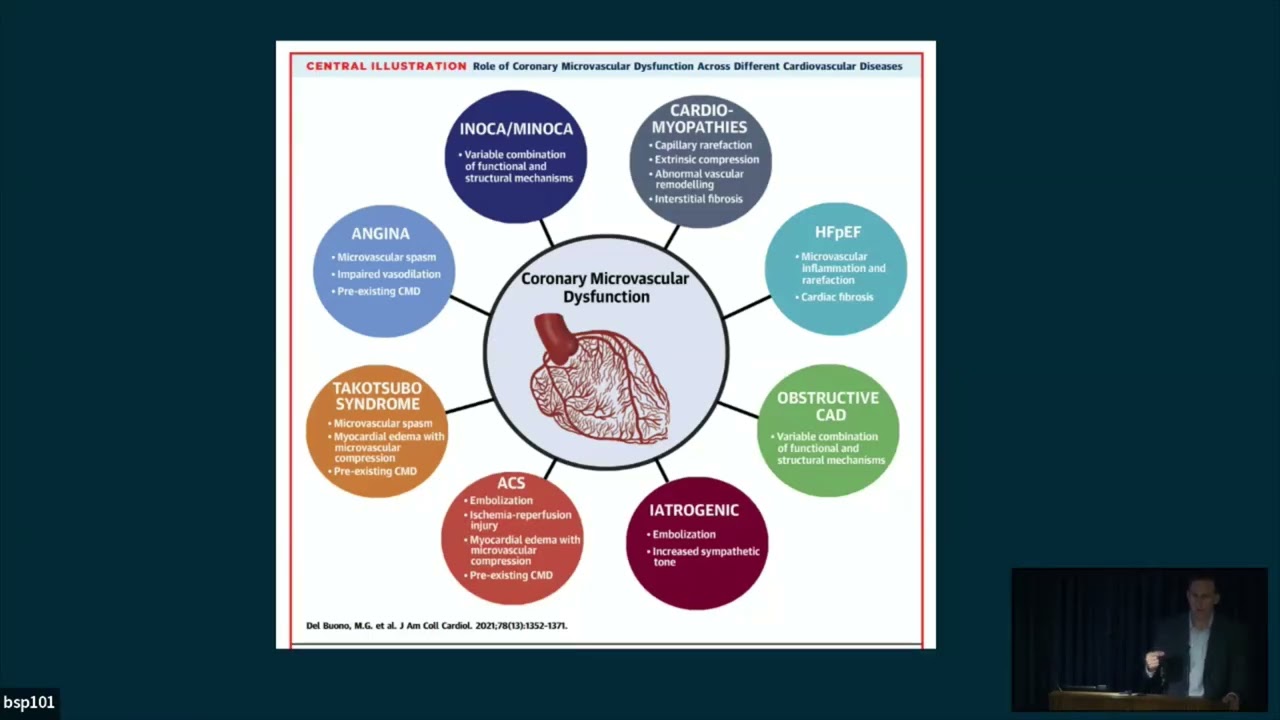 The Microcirculation Matters: Rethinking Chest Pain Without Obstructive CAD