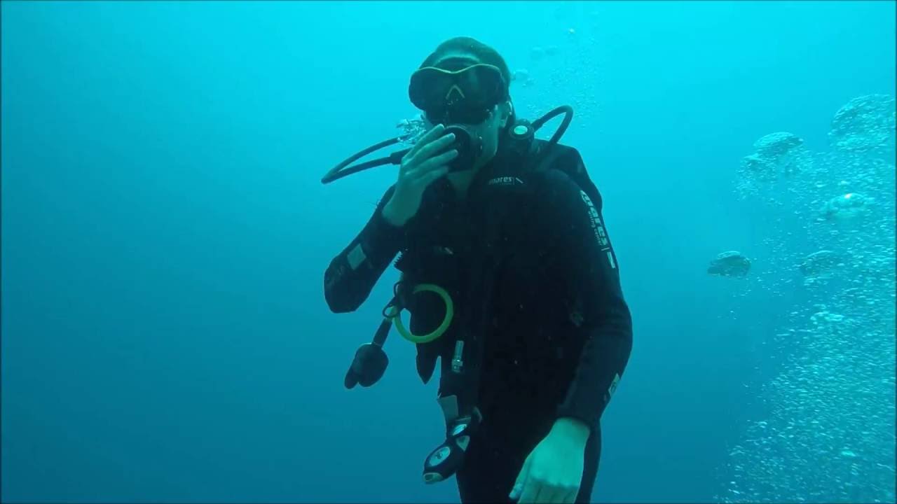 Flores Island - Komodo National Park - Diving 4K - Indonesia August 2016