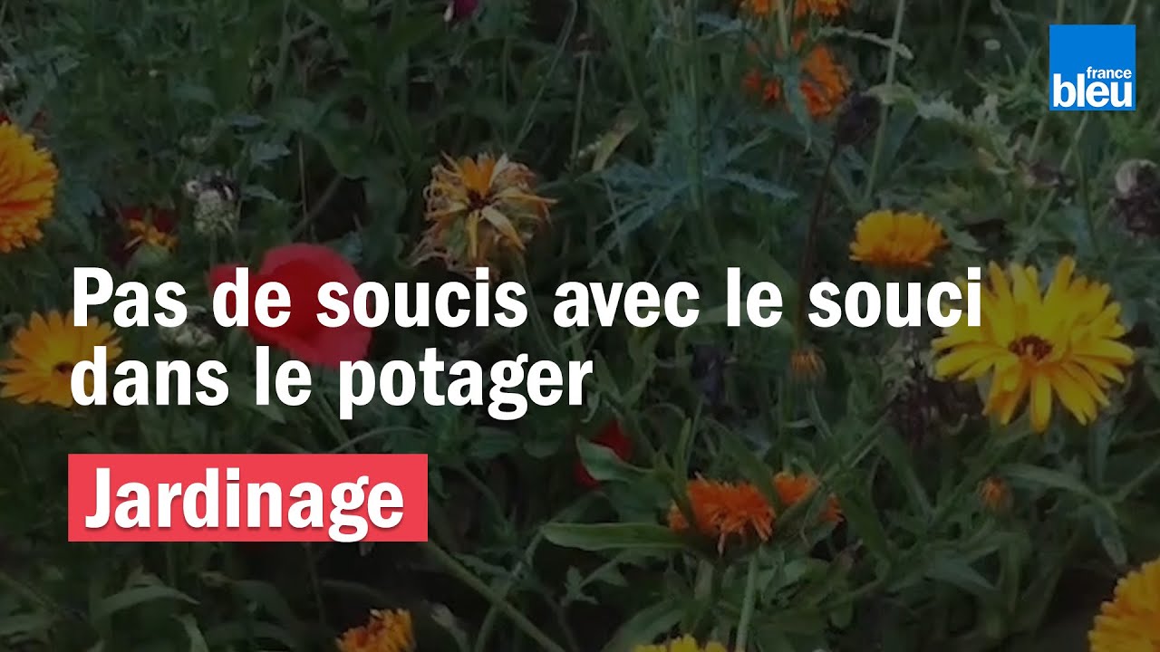 Avec le souci, pas de soucis