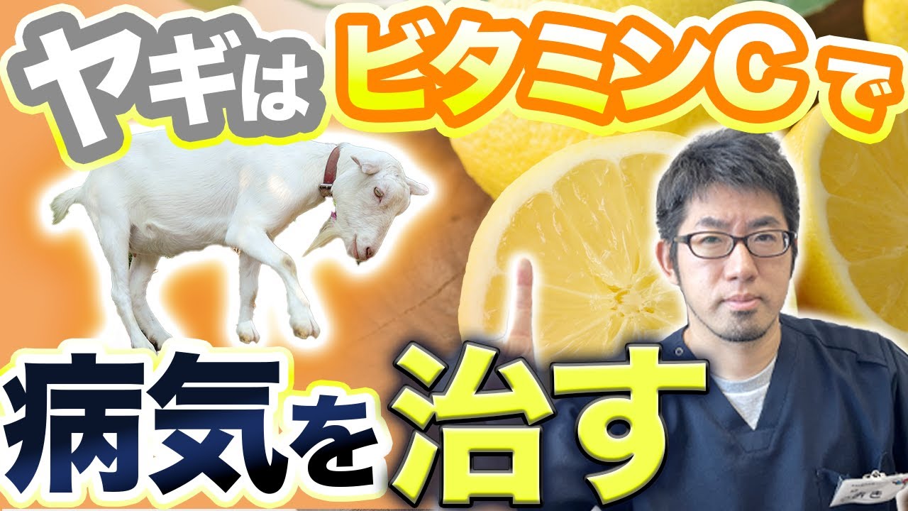 ビタミンが足りない人は壊血病！？知らないと損する話 医師解説