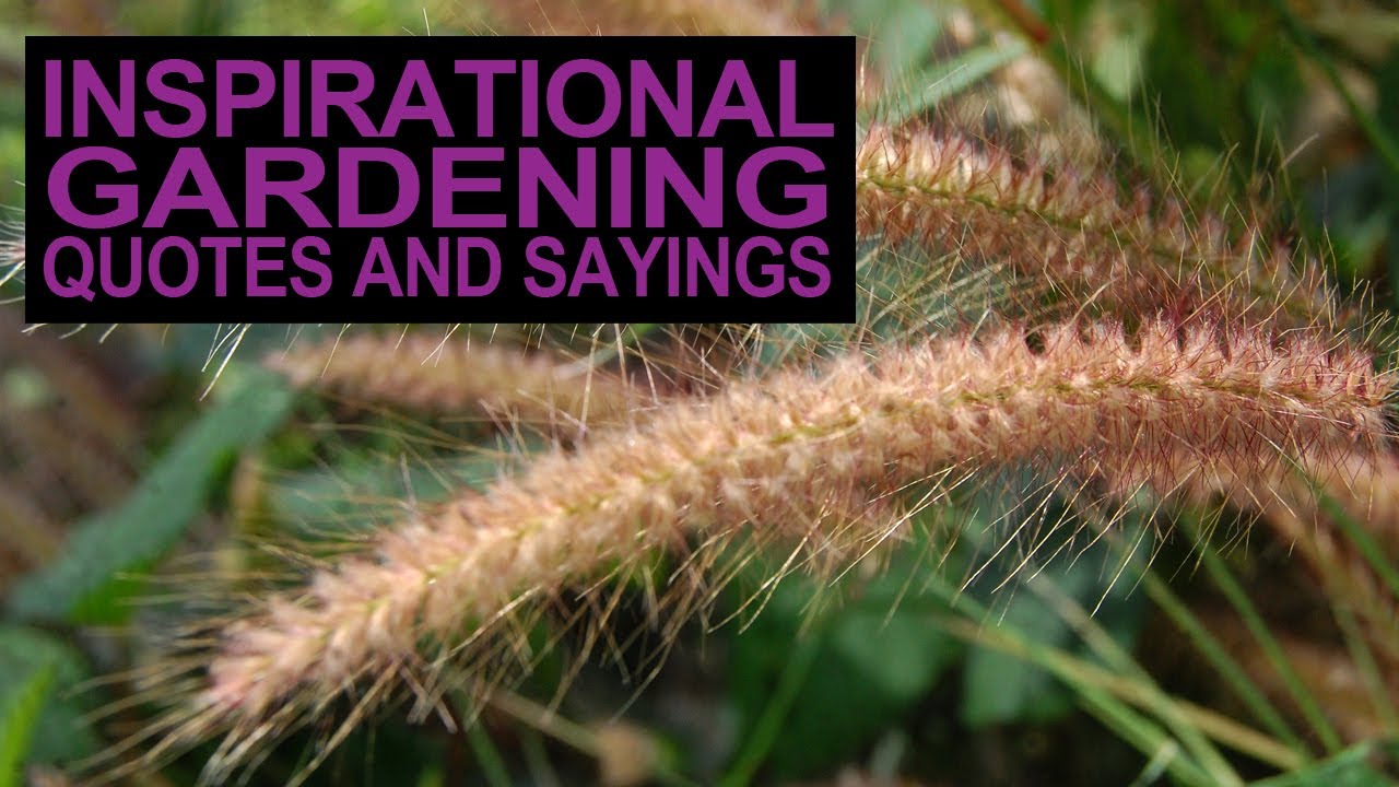 Inspirational Gardening Quotes And Sayings