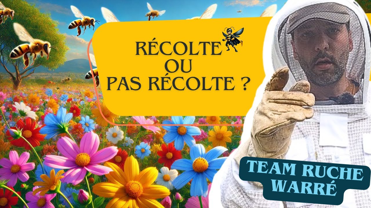 Comment savoir si je récolte ou le miel ? 🍯
