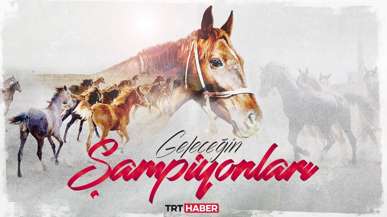 Geleceğin şampiyonları TİGEM'de yetiştiriliyor