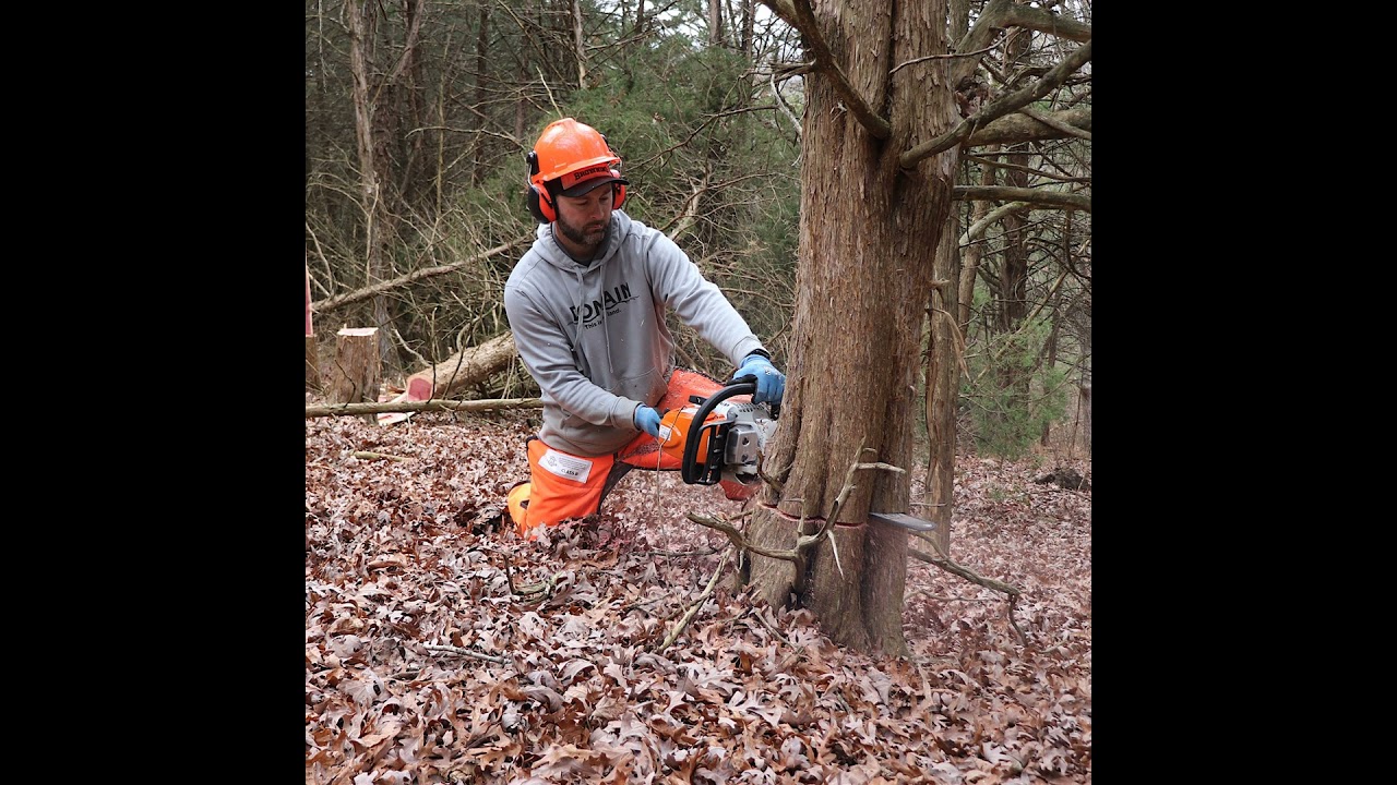 Having A Open Mind Improves Your Deer Hunting Success
