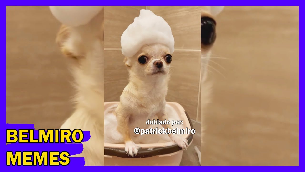 Belmiro Memes: Melhores dublagens engra&ccedil;adas da semana 23