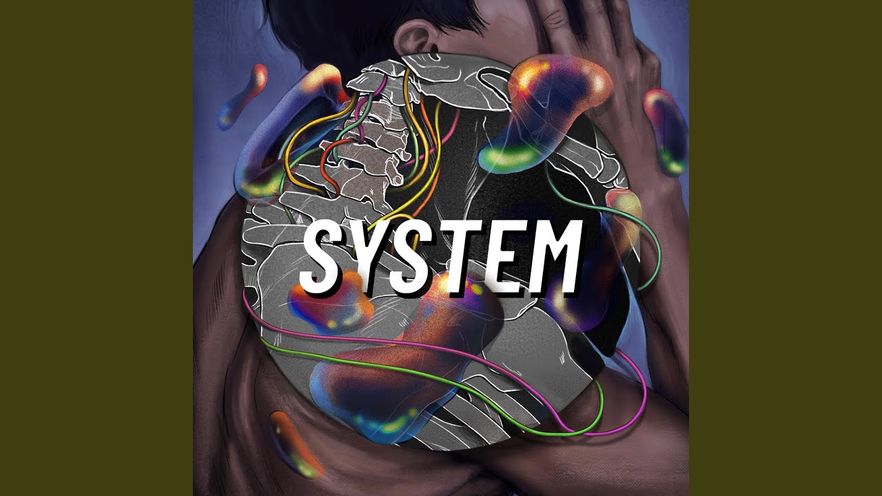 System