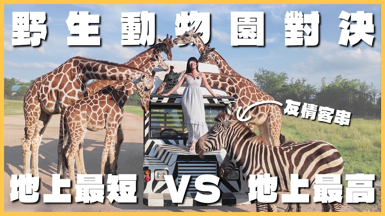 [旅遊VLOG] 🔴//泰雷婆婆與地上最高物種(長頸鹿)撕殺對決…_(꒪ཀ꒪」∠)_