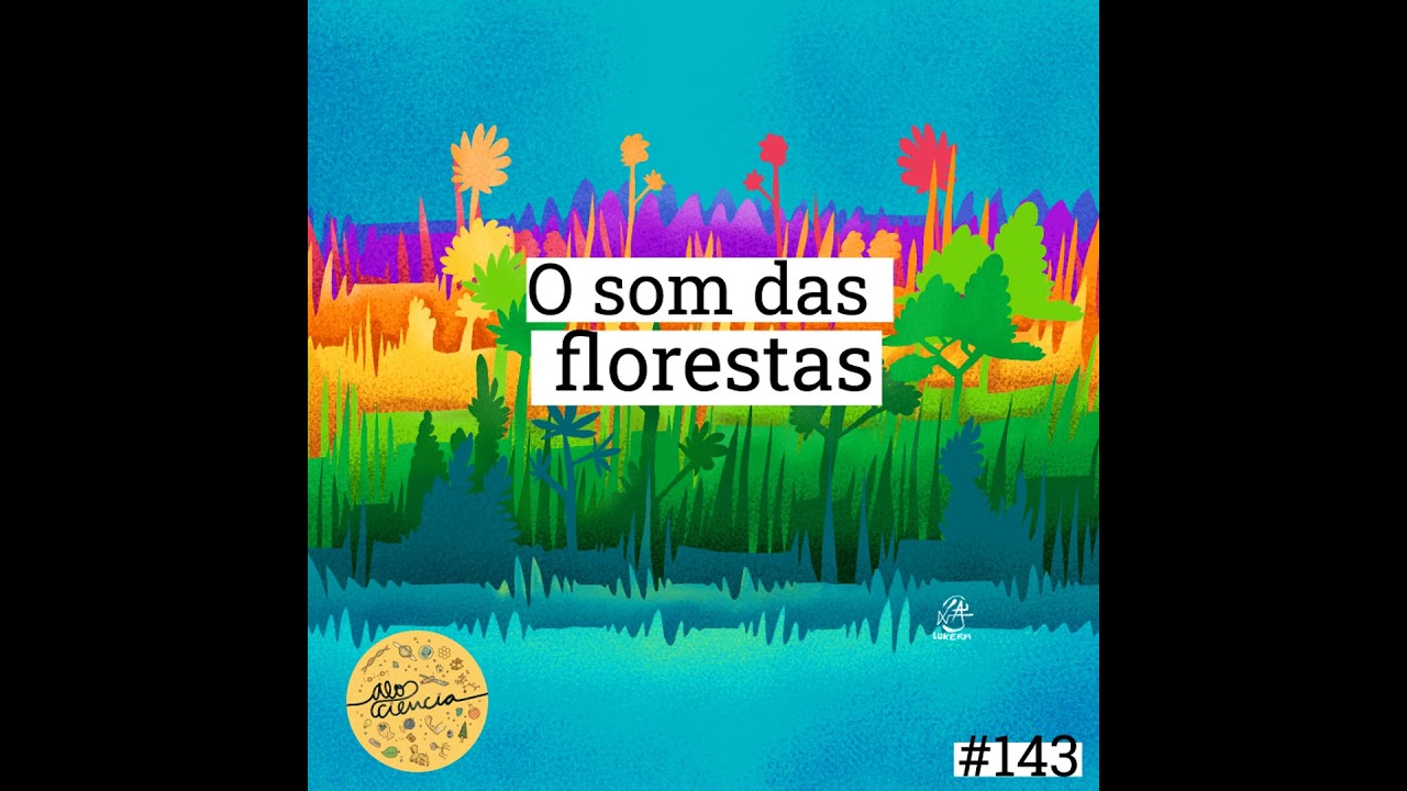 #144 O Som das Florestas