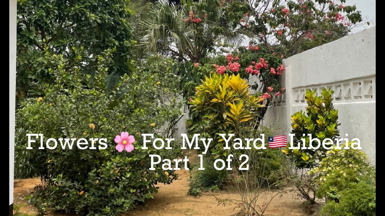 Building My House In Liberia, West Africa 🇱🇷 2021(Episode #16)Part -1 Flowers and  Landscaping
