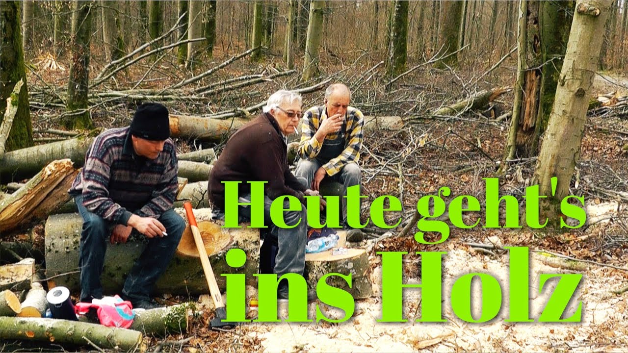 Heute geht's ins Holz