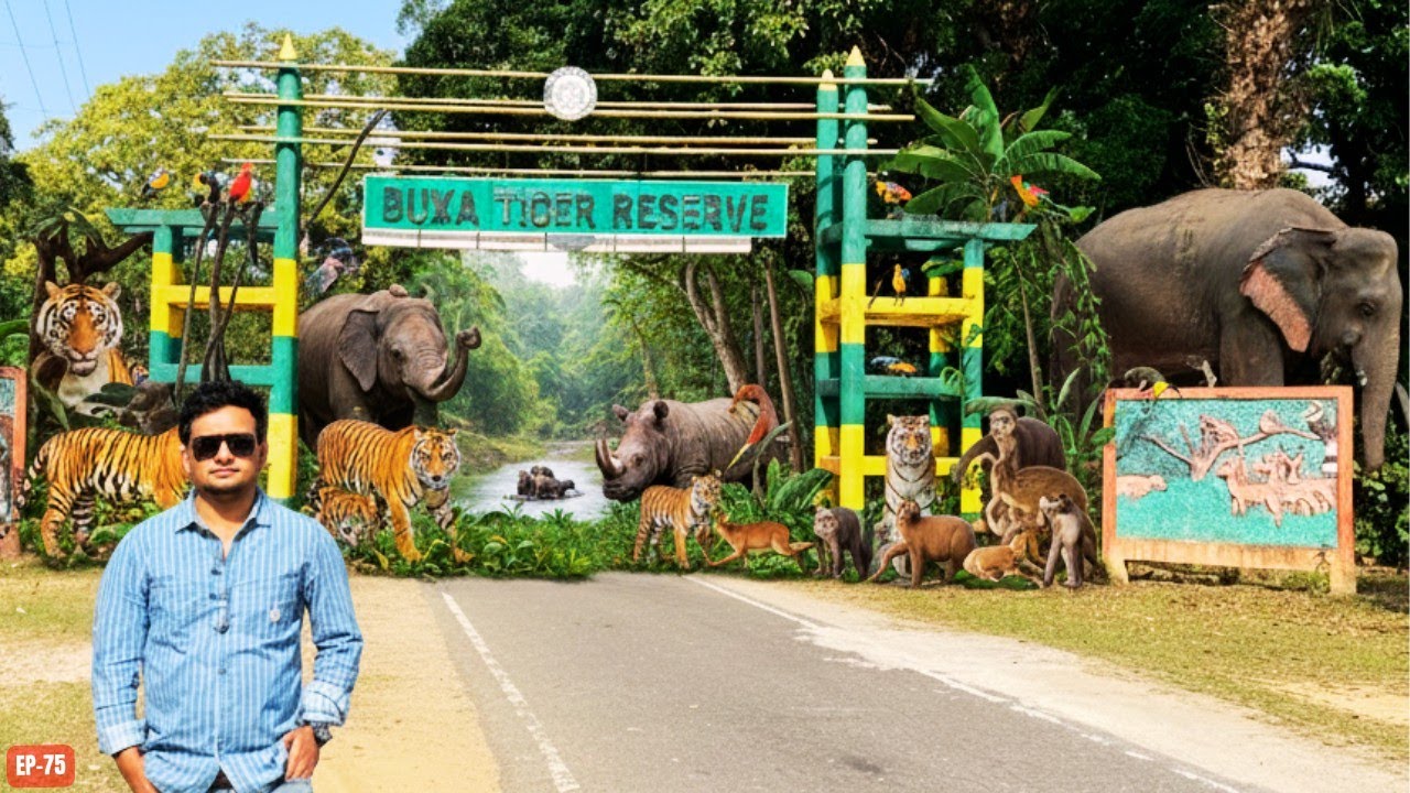 চলুন ঘুরে আসি BUXA TIGER RESERVE থেকে I জেনে নিন প্রয়োজনীয় তথ্য I Buxa Tiger Reserve All details