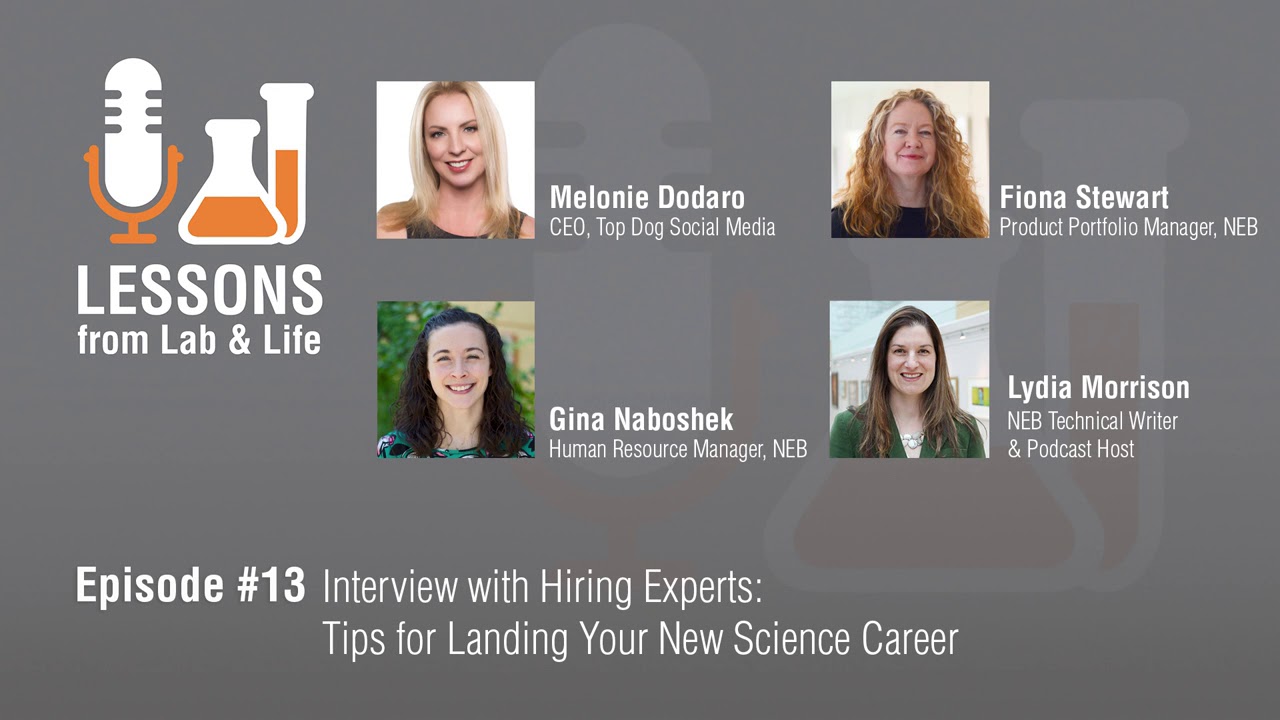 Interview with Hiring Experts: Tips for Landing Your New Science Career