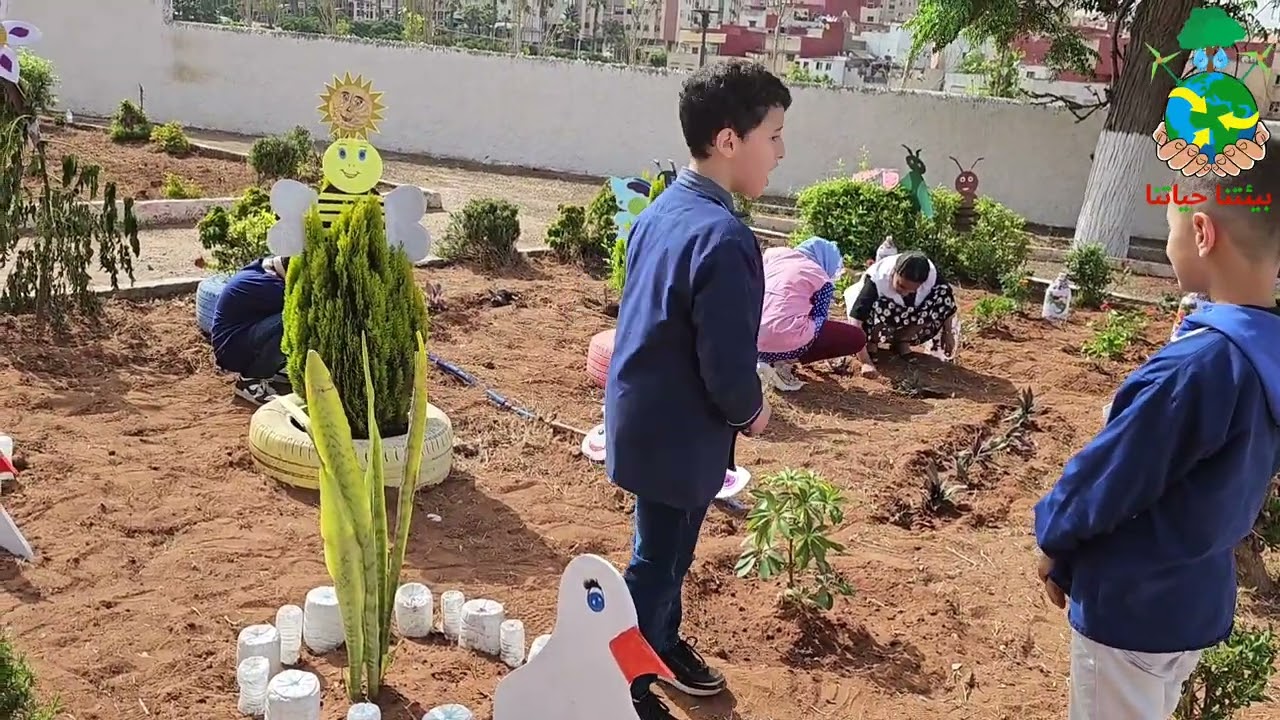 بيئتنا حياتنا : مدرسة واد الذهب الإبتدائية الإيكولوجية