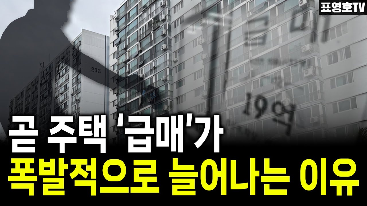 내년엔 ‘집 줍는 사람’ 많아집니다.