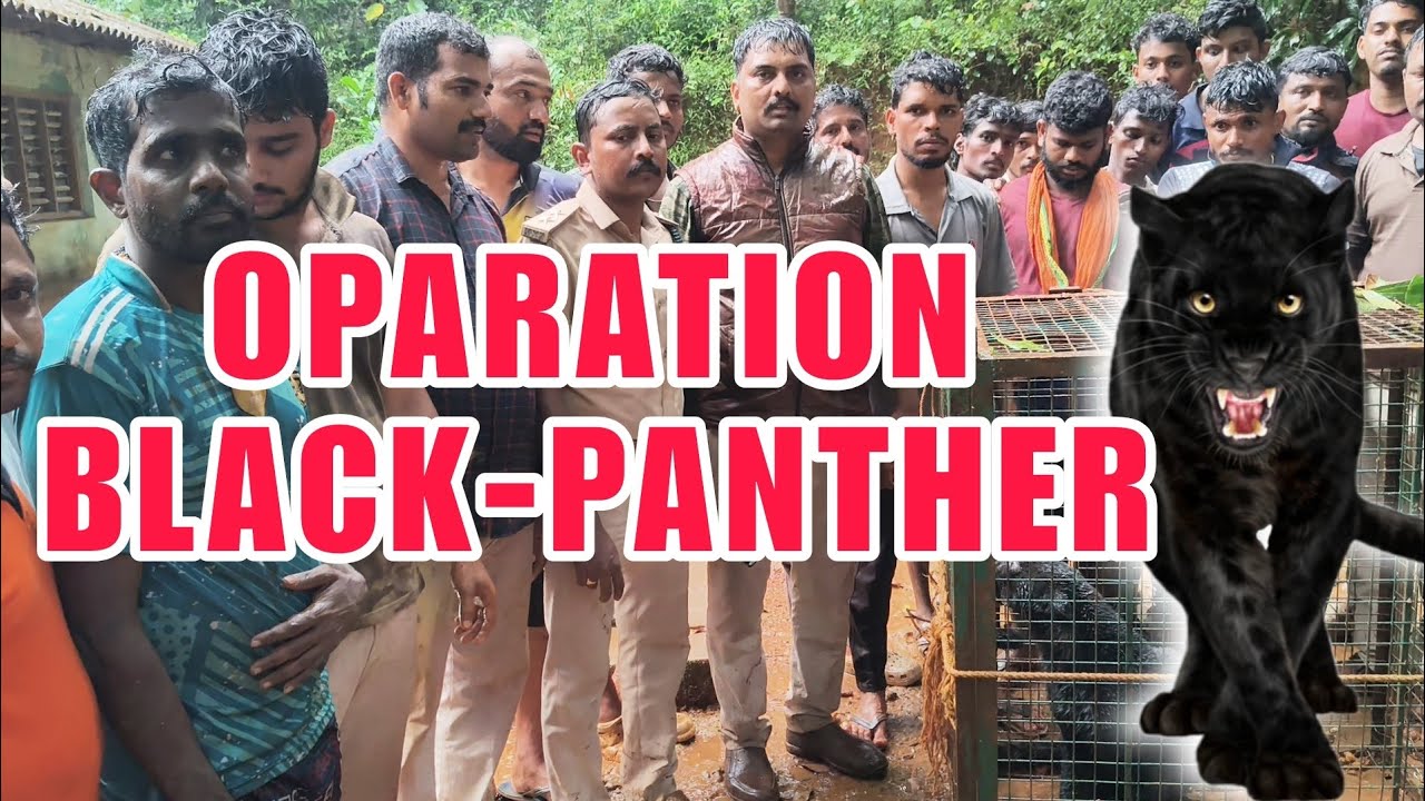 Oparation black-panther 