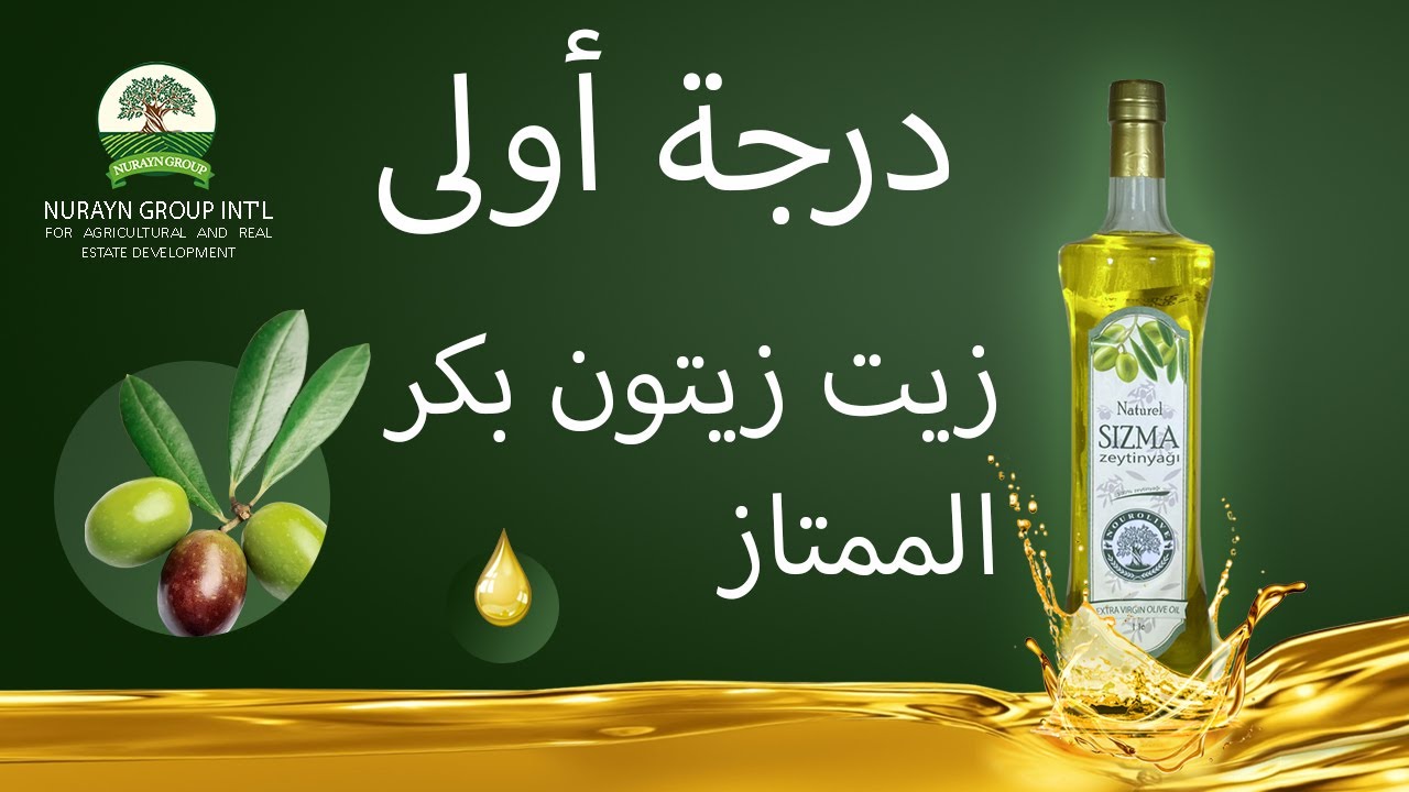 الاستثمار الزراعي في اراضي الزيتون في تركيا | انتاج زيت الزيتون
