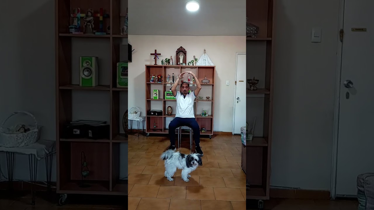 Chi Kung de las emociones. Sentado 