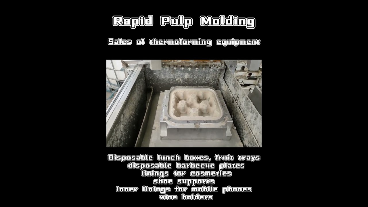 Pulp molding proofing machine, small batch production model