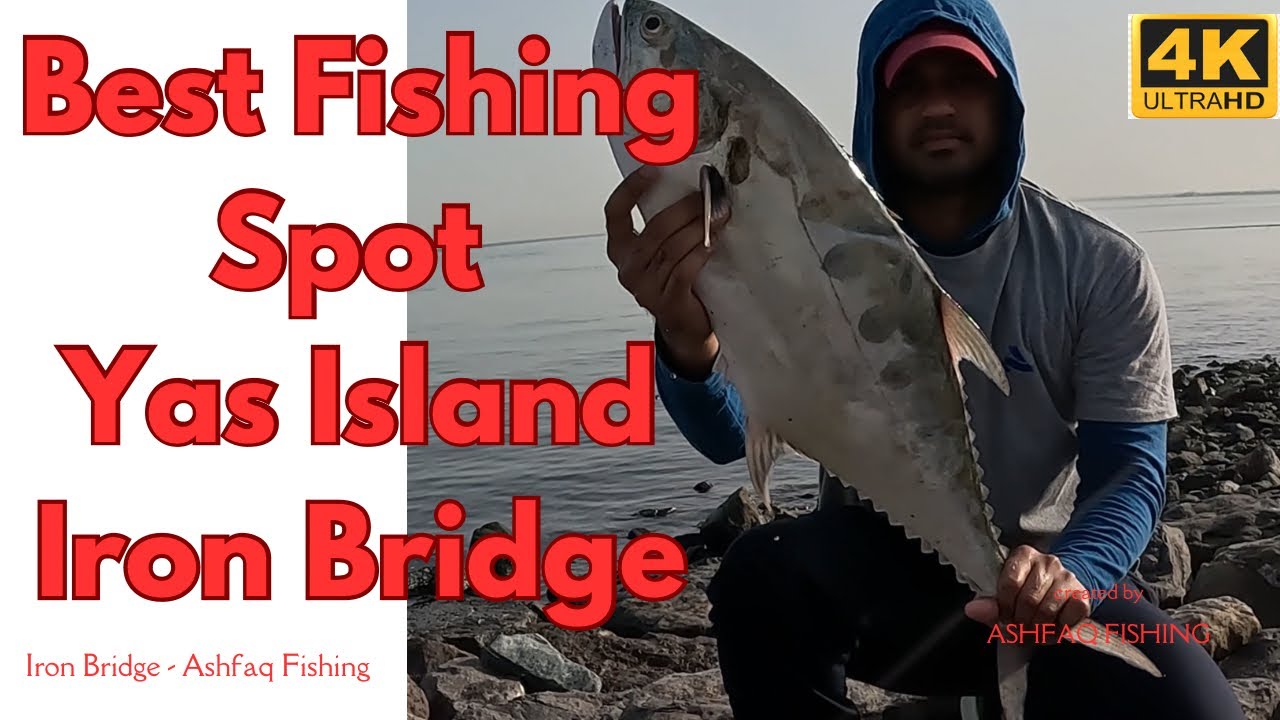 Huge Queen Fish and Hamour Attack on White Tiger | Abu Dhabi Fishing | Best Fishing Spot| Yas Island