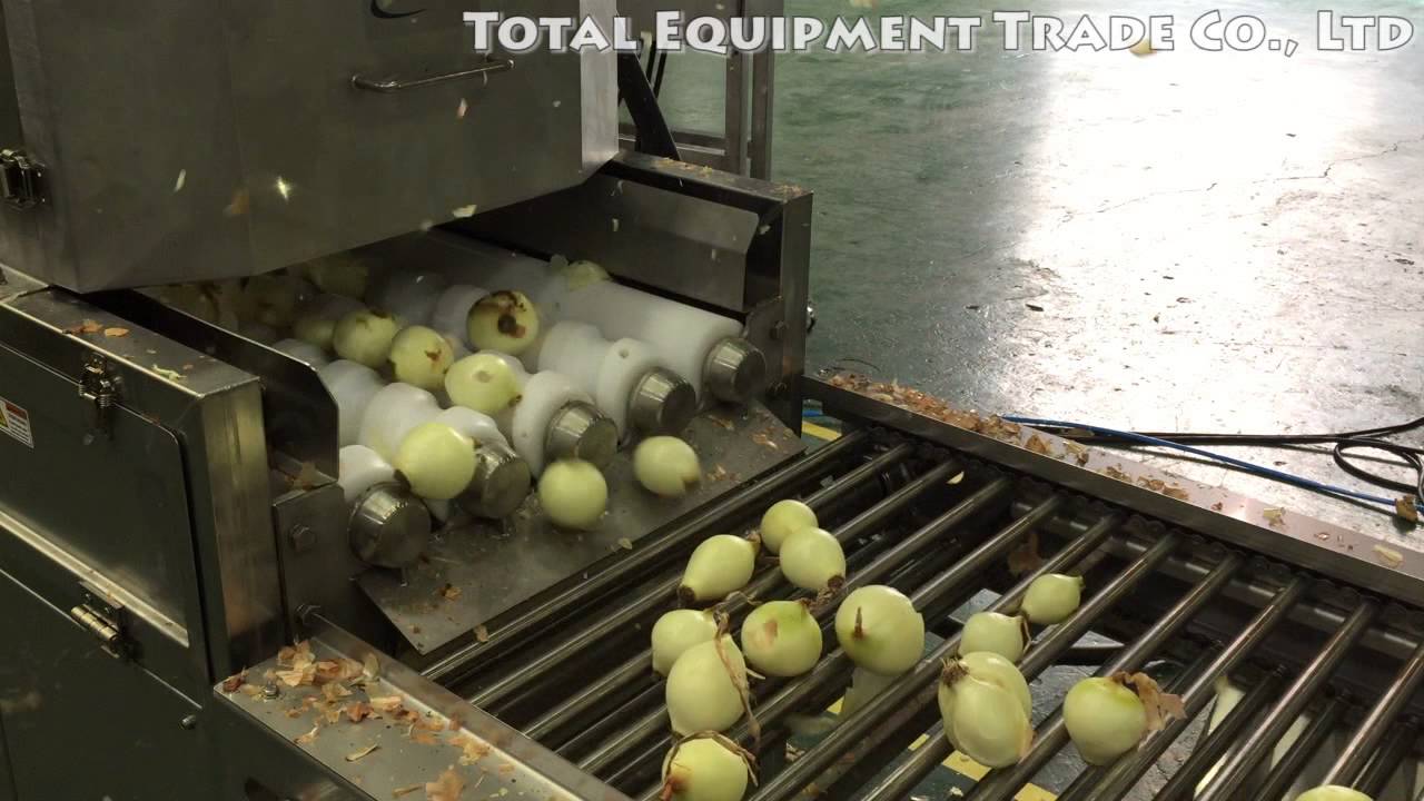 양파탈피라인 / 양파탈피기 (Onion peeling line)