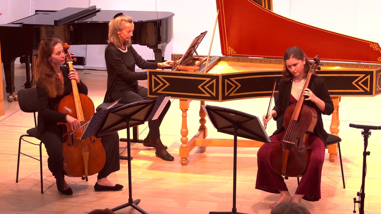 Caporale, Sonata No. 3 in A Major // Baroque Cello