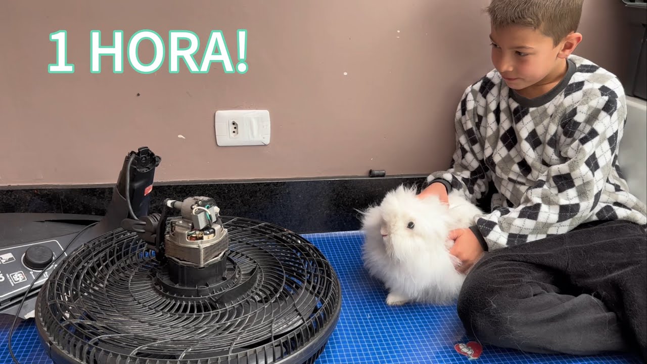1 HORA COM VENTILADORES ARNO E VENTISOL