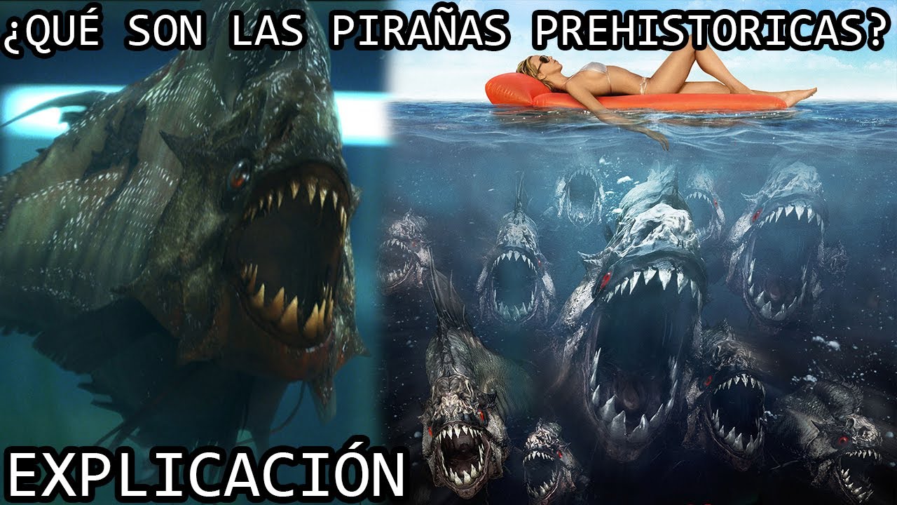 ¿Qué son las Pirañas Prehistoricas? | El Aterrador Origen de las  Pirañas Originales Explicado