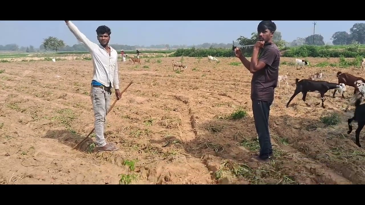 Video soting vlog #vimleshvlog #trending #vairalvideo 