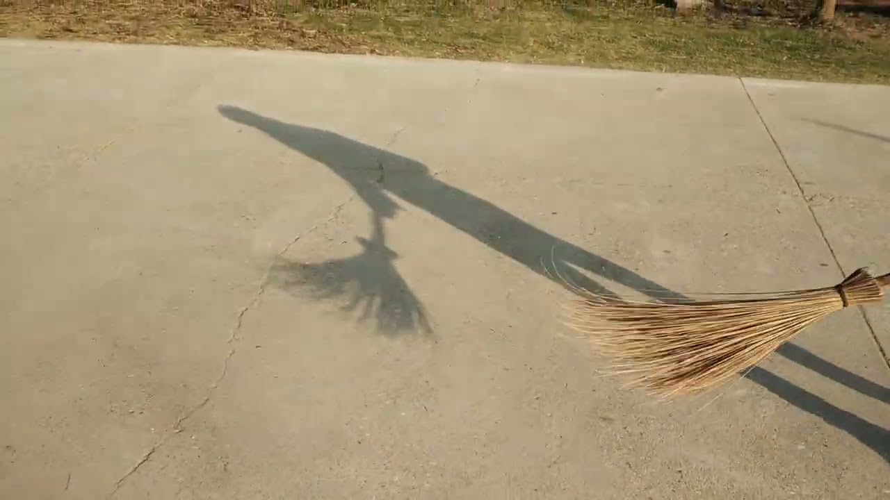 केवल यह कहना कि सरकार कुछ नहीं कर रही हैं। भी गलत होगा, हम लोगों को भी कुछ योगदान देने चाहिये । 