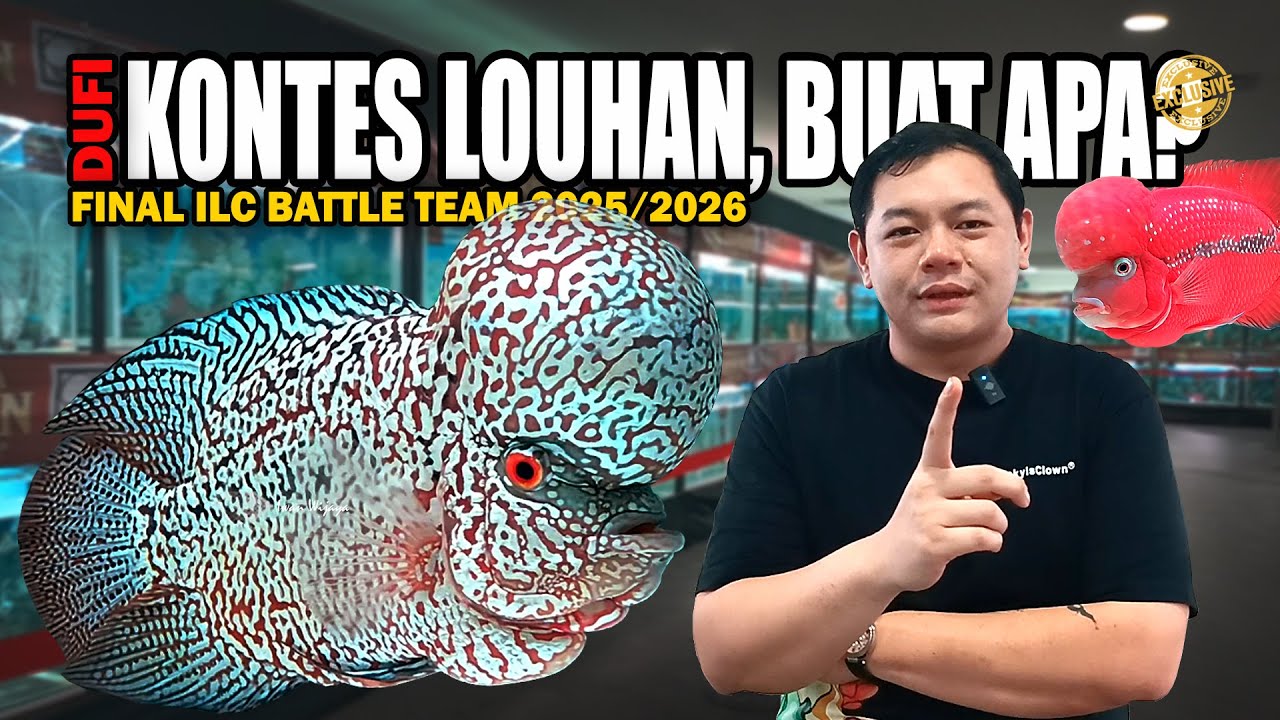 LOUHAN-LOUHAN TERBAIK DI KONTES LOUHAN FINAL ILC BATTLE TEAM 2025/2026 | DUFI