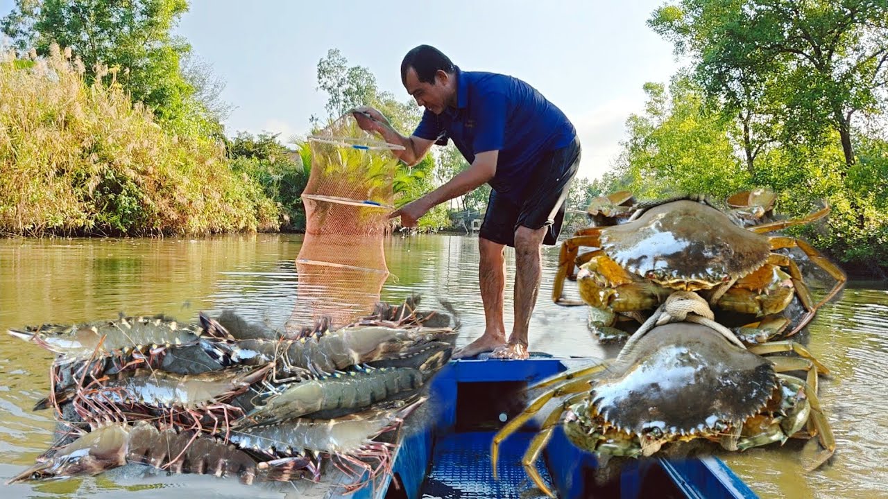 Đổ Lú Dưới Sông Trúng Tôm Cua 
