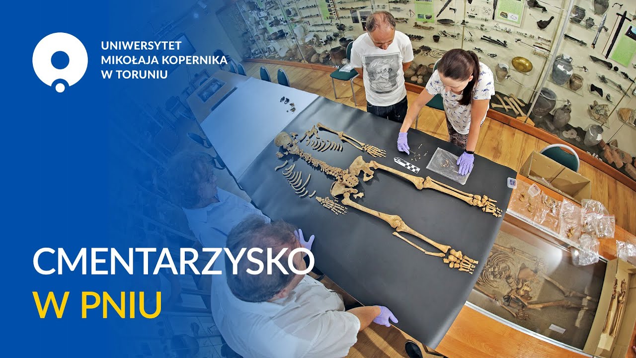 Cmentarzysko w Pniu