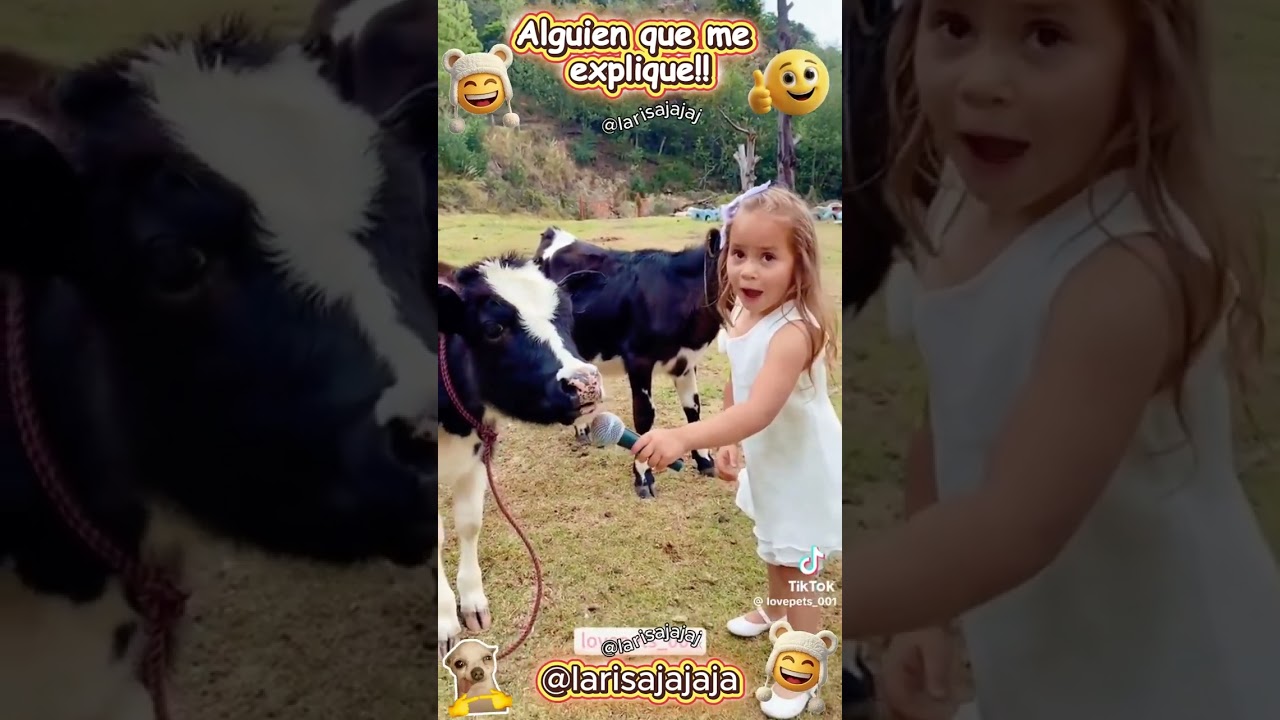 ¡No pararás de reír! 😂 La Mejor Compilación Random de Humor del Mes