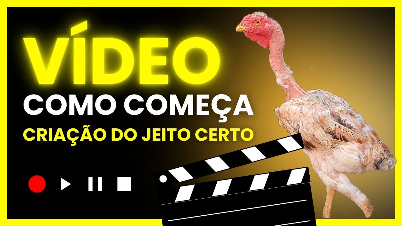 🔴como começa uma criação de polaco gigante em 2026! Dica