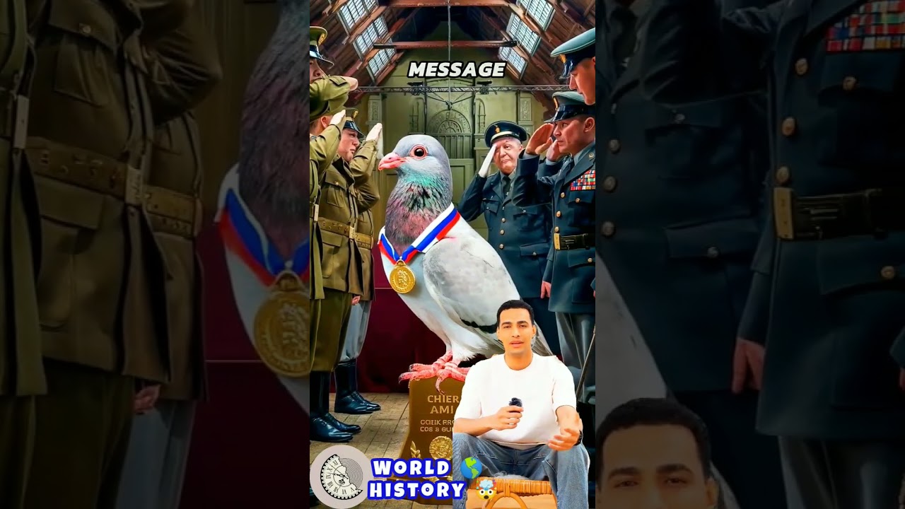 The Untold Stories of WWII: Heroes, Myths, and Secrets! #facts #historyevents #history