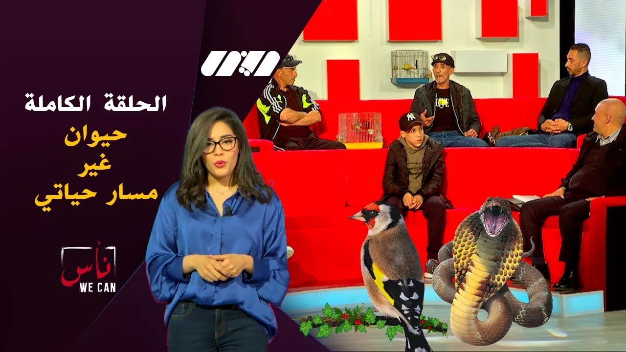 ناس We can | - العدد الرابع - حسان الشون والمقنين | حيوان غير مسار حياتي