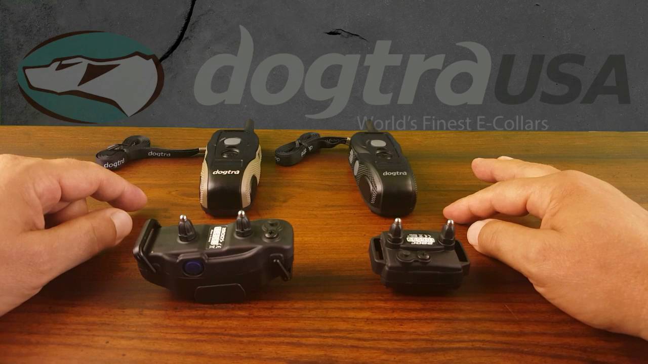 Dogtra 1900s vs 280c - E-Collar Comparison | DogtraUSA.com