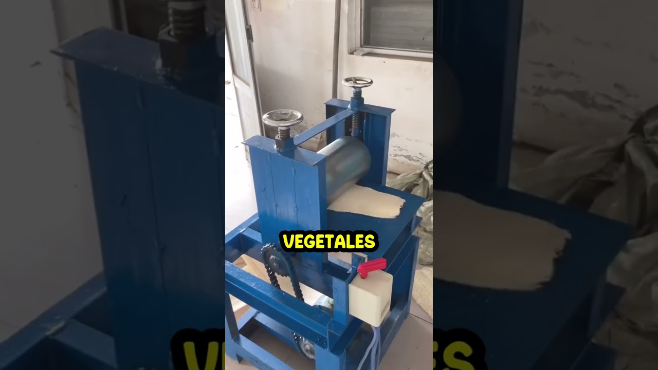 La Esponja Vegetal O Lufa... 🤔