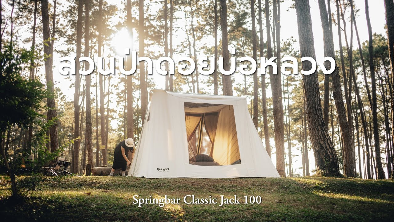 CAMPING | กางเต็นท์อาบแสงแดดในป่าสน | Springbar Classic Jack 100 | สวนป่าดอยบ่อหลวง