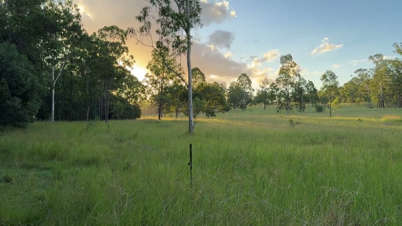 Rhodes Grass rested during prime growing season