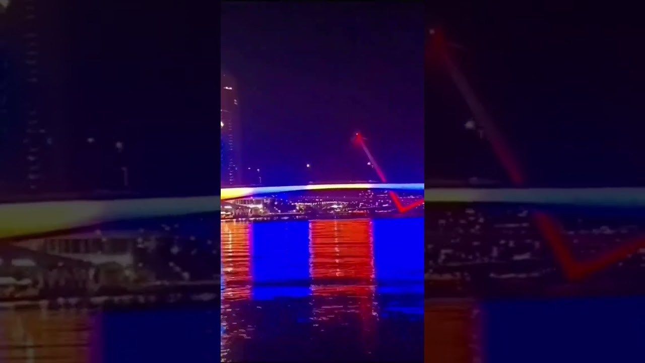 #citycat #citylights #nightride