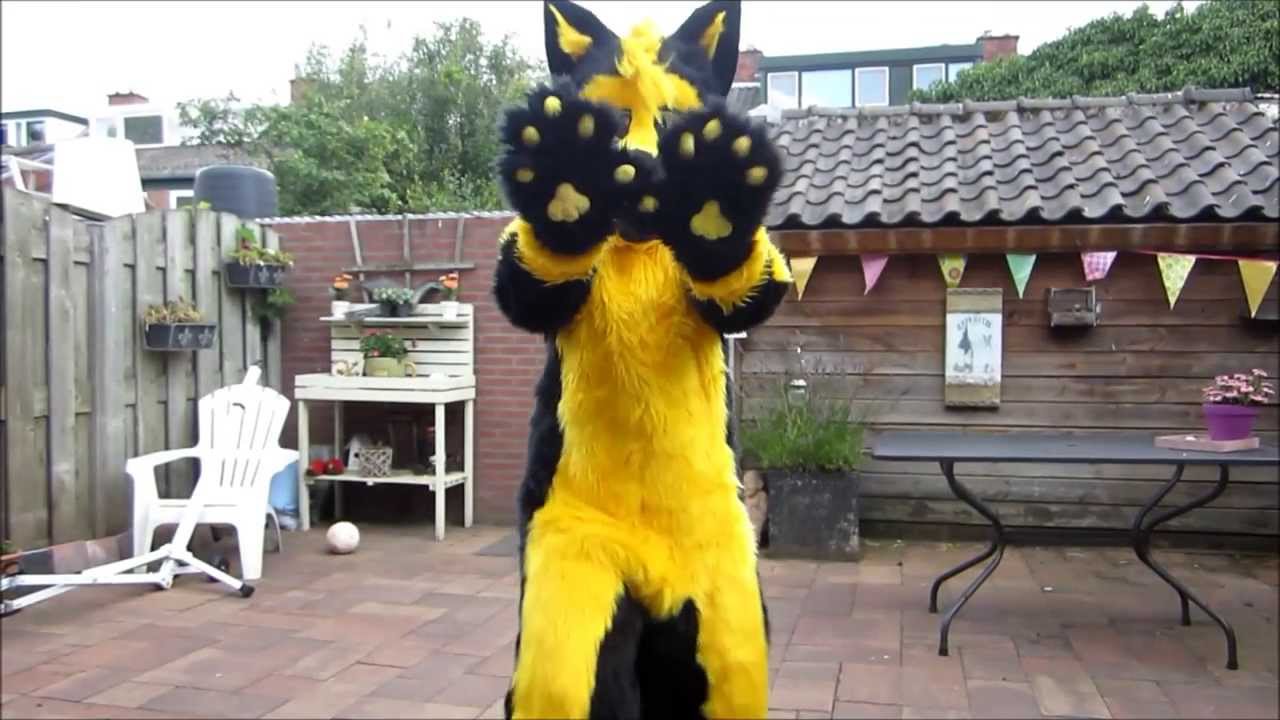Fursuit Unboxing; AikoBlake [Suit by Tsebresos]