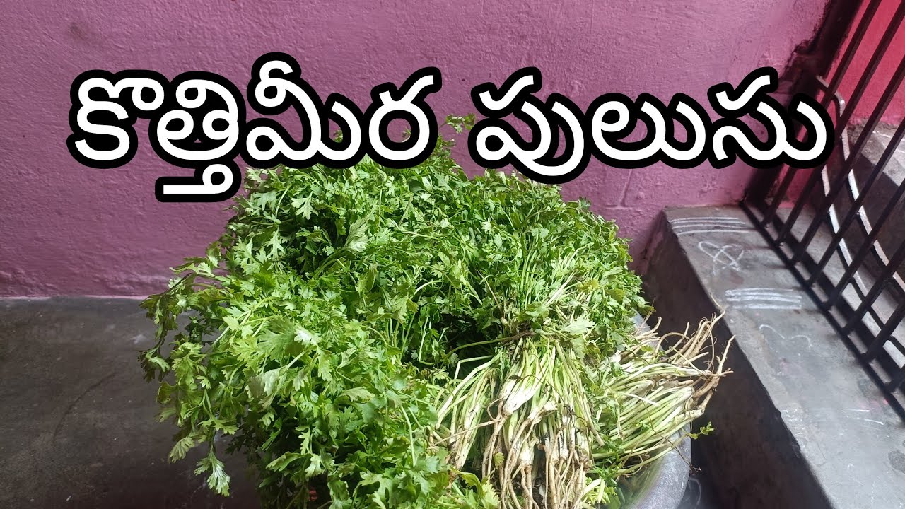 #ఘుమఘుమలాడే