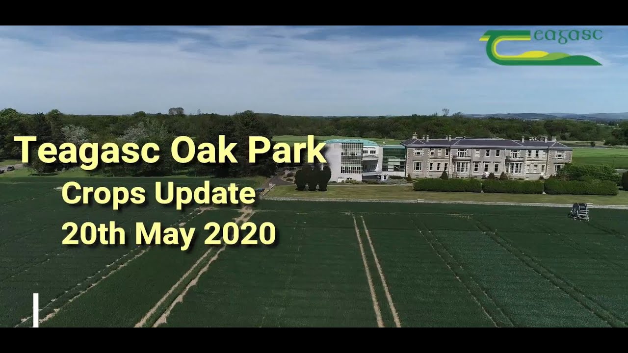 Teagasc Oak Park Crops Update- Dermot Forristal and John Hogan