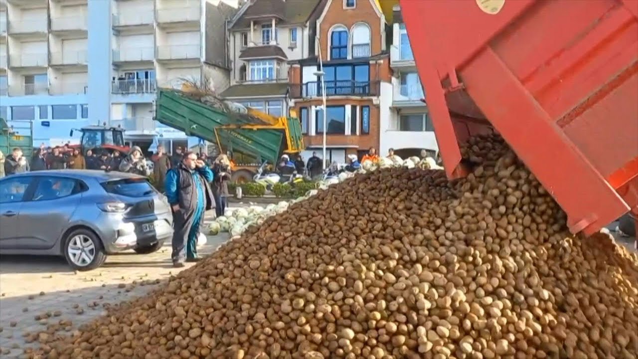 Des pommes de terre d&eacute;vers&eacute;es devant la villa des Macron au Touquet | AFP Images