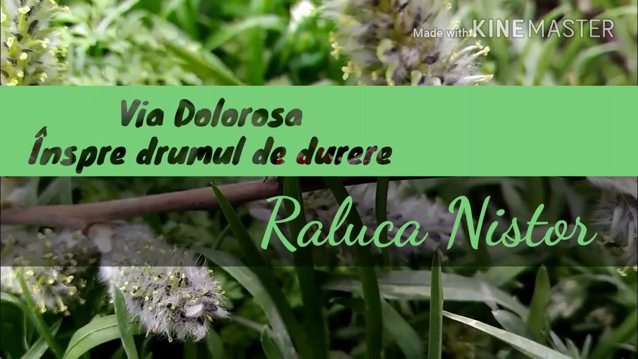 Via Dolorosa - Înspre drumul de durere - Raluca Nistor