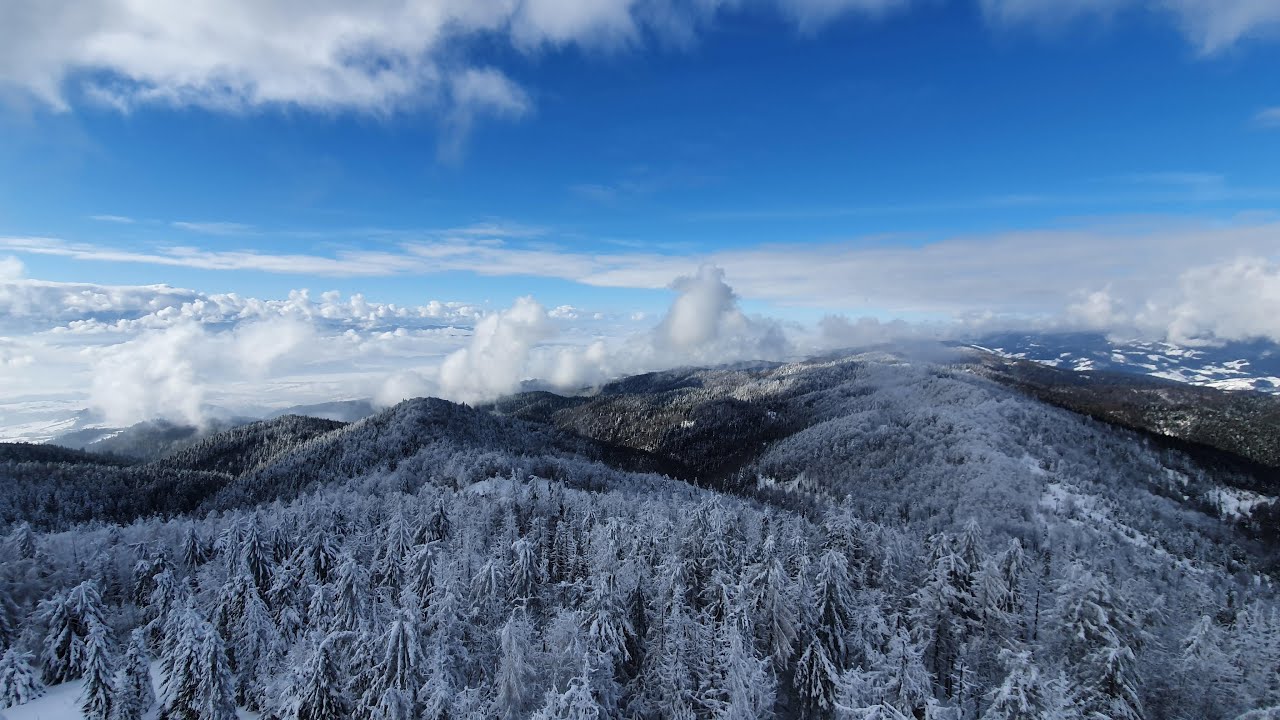 Gorce Ultra Trail - Winter.  GUT 2021